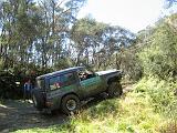 2011-03-12 Whangamomona 097